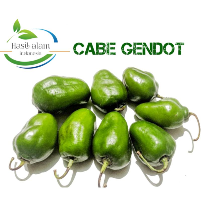 Jual CABE GENDOT CABAI GENDOL KUALITAS SUPER READY STOCK SIAP KIRIM