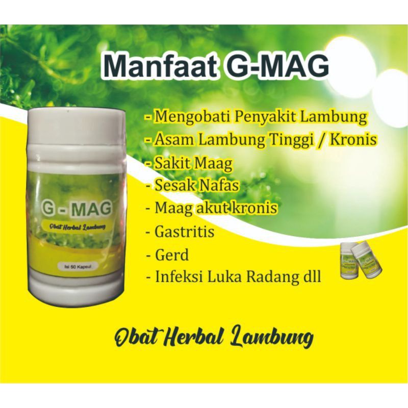 Jual Obat Lambung Kronis Magh Maag Gerd Herbal Cina Kapsul G Maag