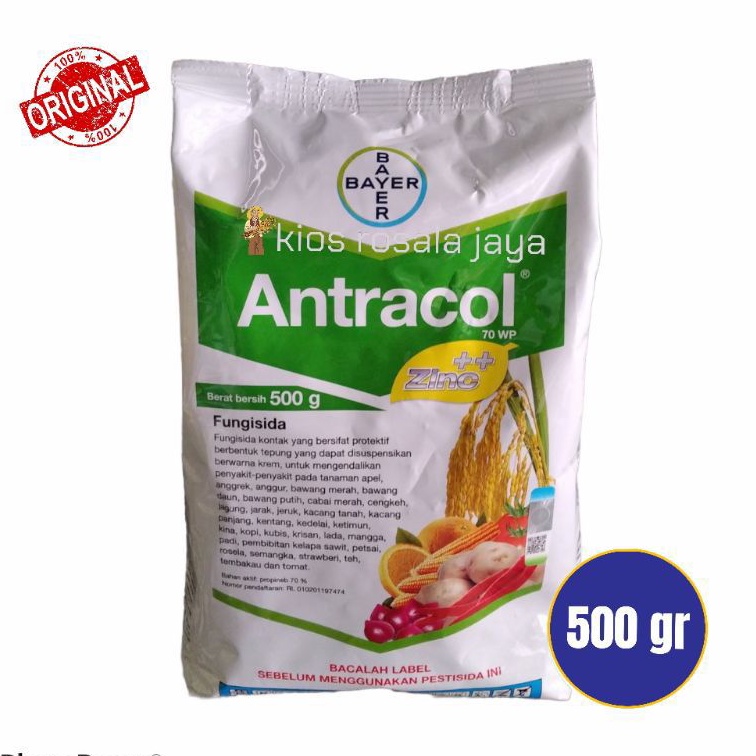 Jual Fungisida Antracol Wp Gram Shopee Indonesia