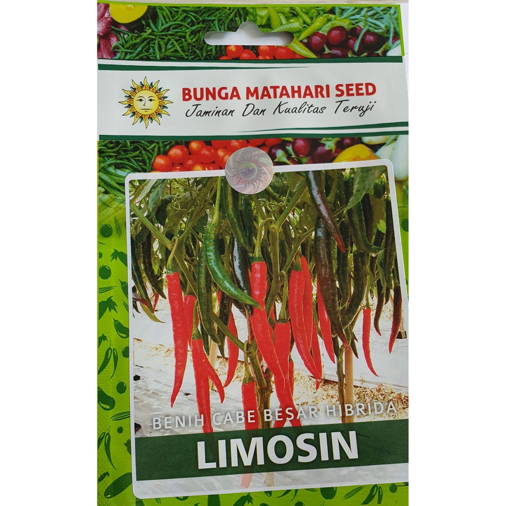 Jual Benih Cabe Besar Hibrida Limosin Cap Bunga Matahari F Butir