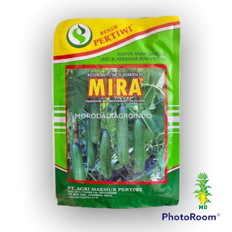 Jual Benih Timun Mira F1 Pertiwi 25 Gr Shopee Indonesia