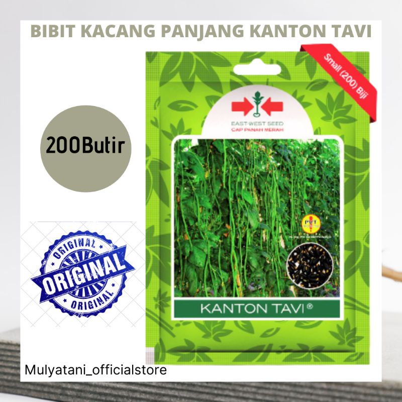 Jual Benih Bibit Kacang Panjang Kanton Tavi Butir Original Cap