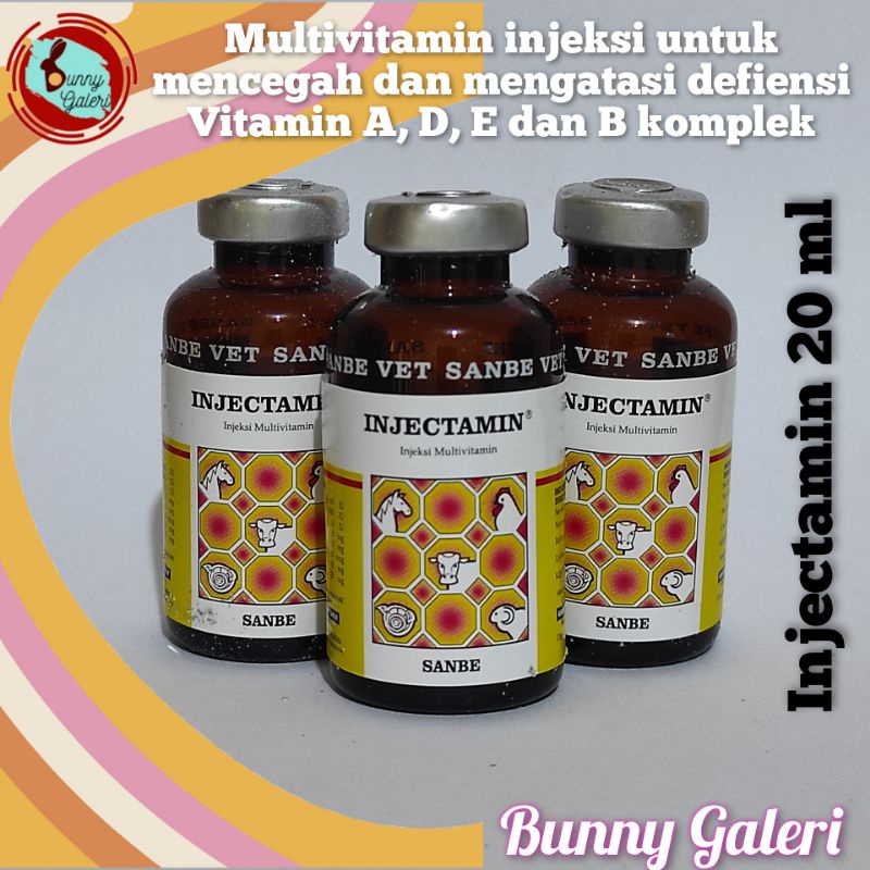 Jual Injectamin Ml Multivitamin Injeksi Untuk Mencegah Dan Mengatasi