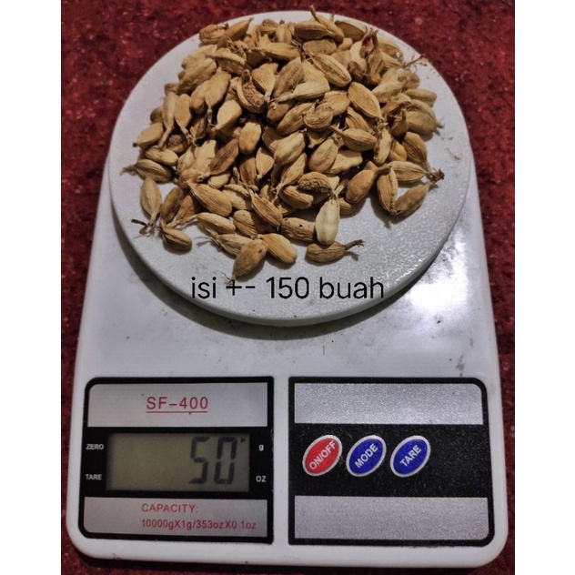 Jual Kapulaga India Biji Kusus Semai Green Cardamom Shopee Indonesia