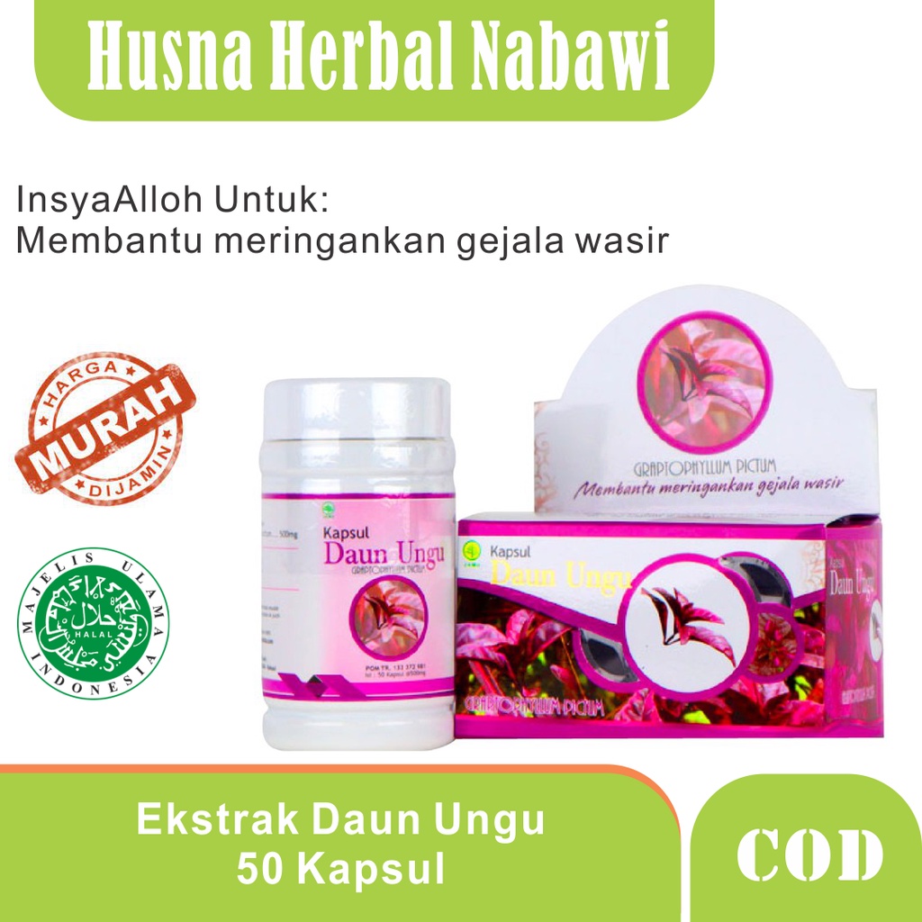 Jual PROMO Daun Ungu Griya Annur Original Husna Herbal Nabawi Shopee