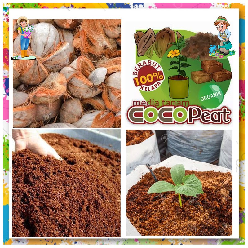 Jual Cocopeat Media Tanam Dan Cangkok Murni 100 Sabut Kelapa 1 Kg