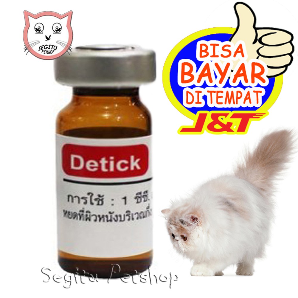 Jual OBAT KUTU KUCING ANJING TETES DETICK Shopee Indonesia