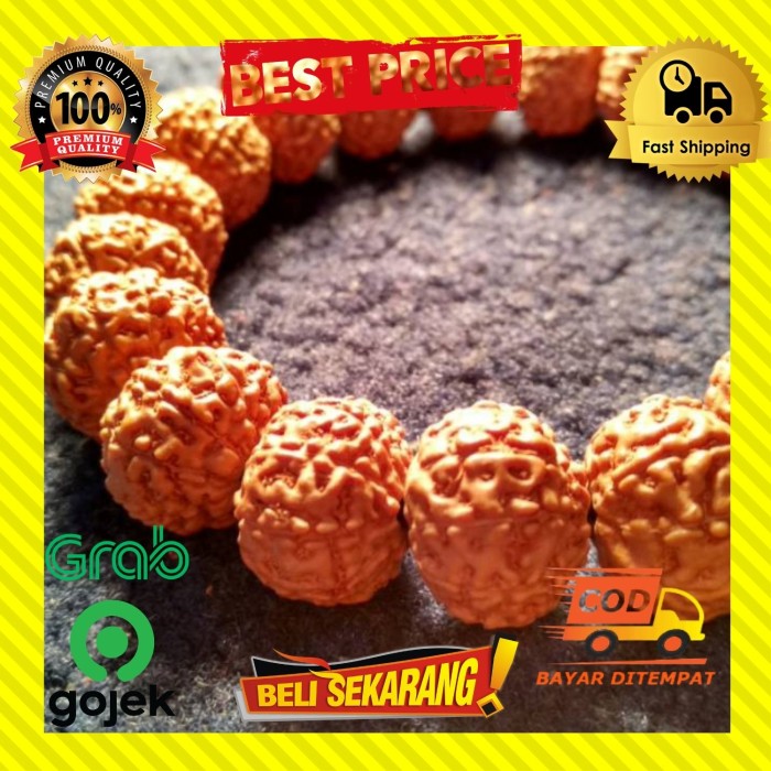 Jual Gelang Biji Jenitri Mukhi Asli Genitri Rudraksha Jumbo Asli Ori