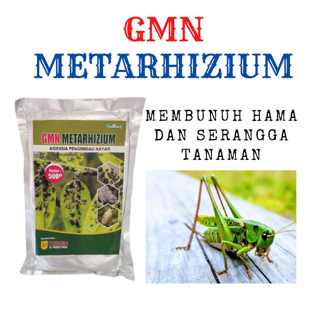 Jual Insektisida Obat Pembasmi Hama Wareng Tanaman Insektisida Hayati