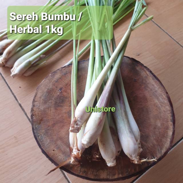 Jual Sereh Serai Segar Kg Bumbu Dan Herbal Shopee Indonesia