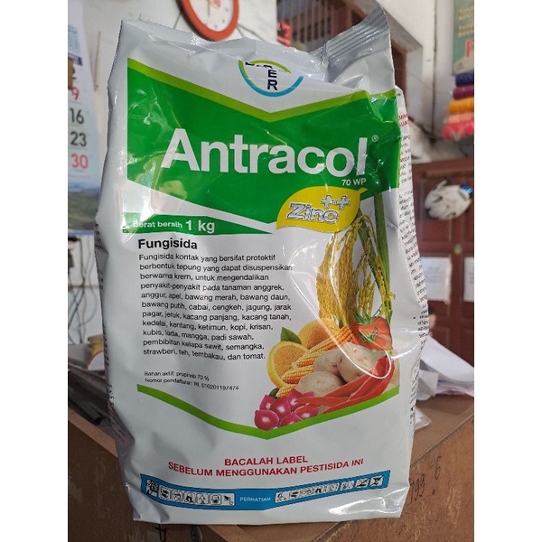 Jual Fungisida Antracol Kg Original Shopee Indonesia