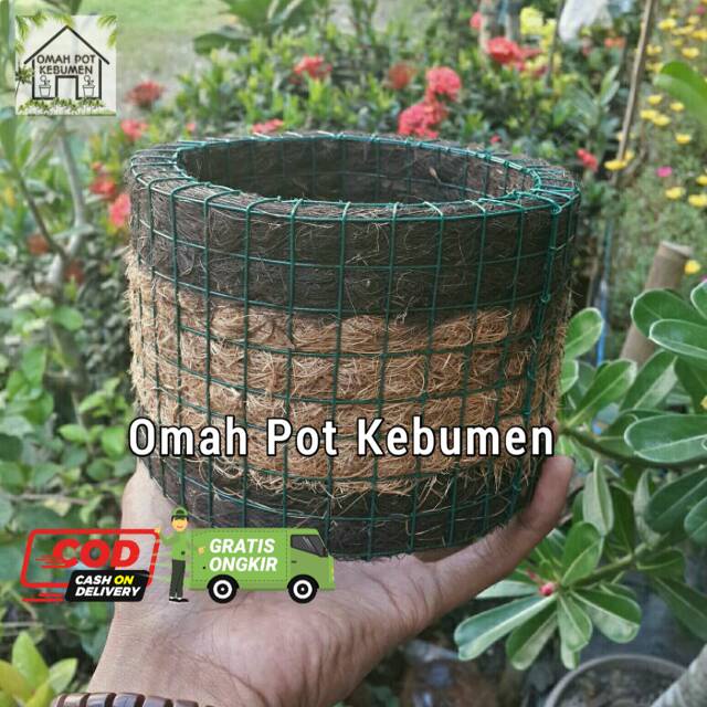 Jual Pot Sabut Serabut Kelapa Unik Kombinasi Ijuk Shopee Indonesia