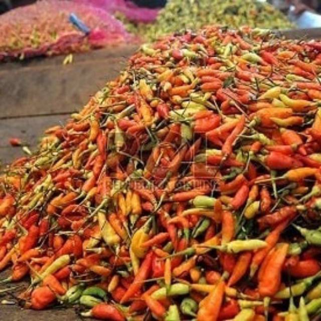 Jual Cabe Rawit Cengek Domba Bandung Gram Shopee Indonesia