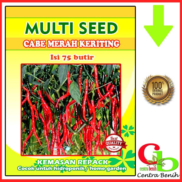 Jual Benih Bibit Cabe Merah Keriting Kemasan Repack Isi 75 Biji