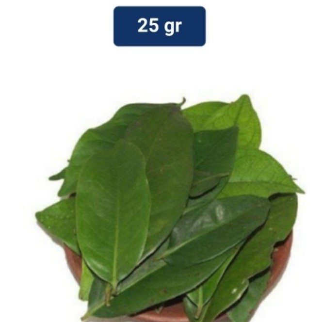 Jual Daun Salam Segar Langsung Petik Dari Pohon G Shopee Indonesia