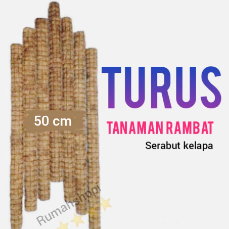 Jual Media Tanam Turus Penyangga Tanaman 50 Cm Media Tanam Serabut