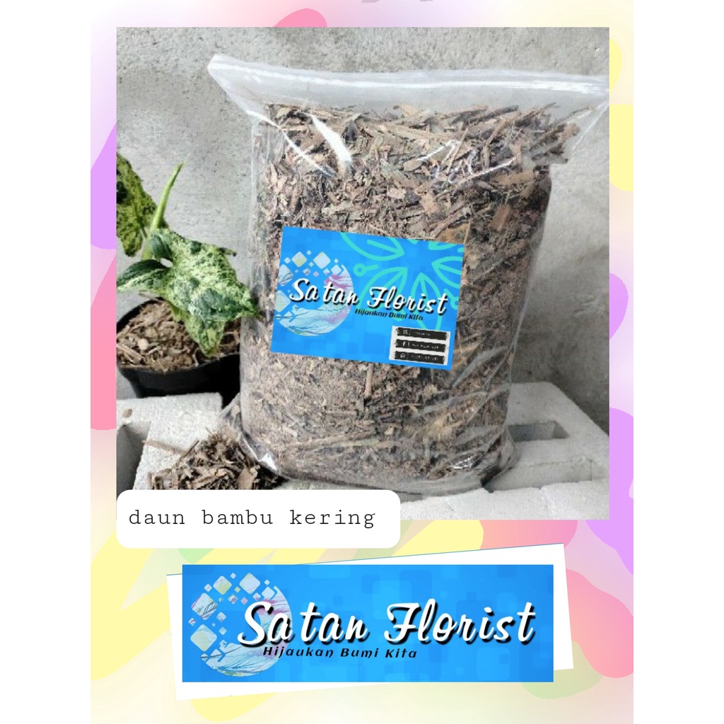 Jual Daun Bambu Kering Cacah Media Tanam Shopee Indonesia