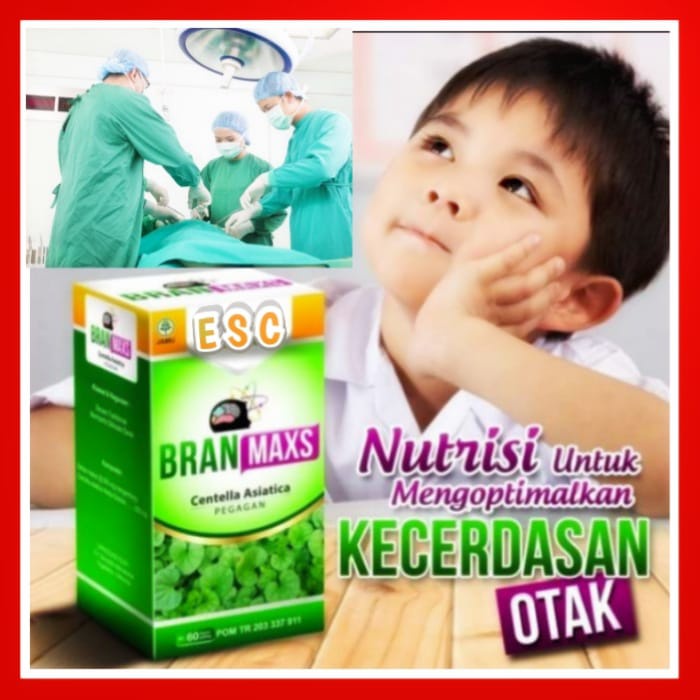 Jual Vitamin Untuk Suplemen Dan Nutrisi Otak Pintar Herbal Pegagan