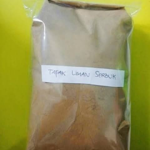 Jual New Daun Tapak Liman Bubuk Kg Shopee Indonesia