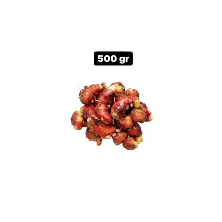 Jual Jahe Merah Segar 250gr 1Kg Shopee Indonesia