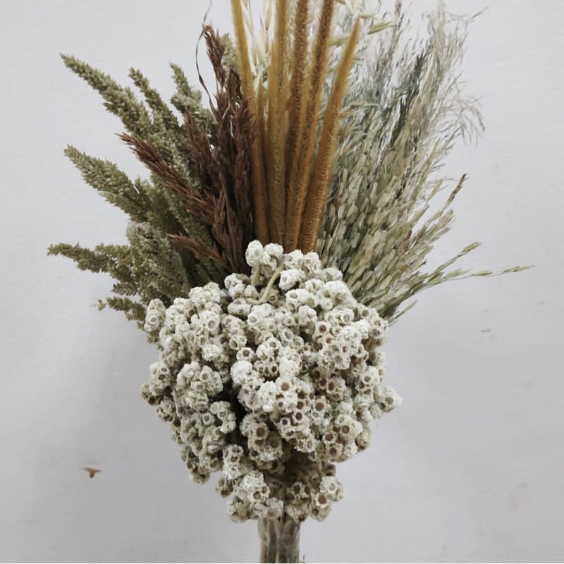 Jual Buket Ilalang Dried Flower Bunga Kering Buket Ilalang Edel