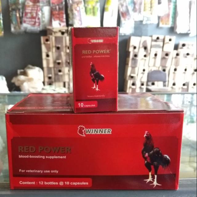 Jual WINNER RED POWER Isi 10 Kapsul Shopee Indonesia