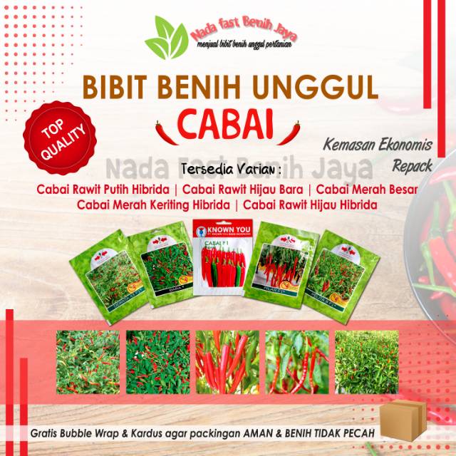 Jual Benih Cabe Rawit Bibit Cabe Keriting Benih Cabe Merah Besar