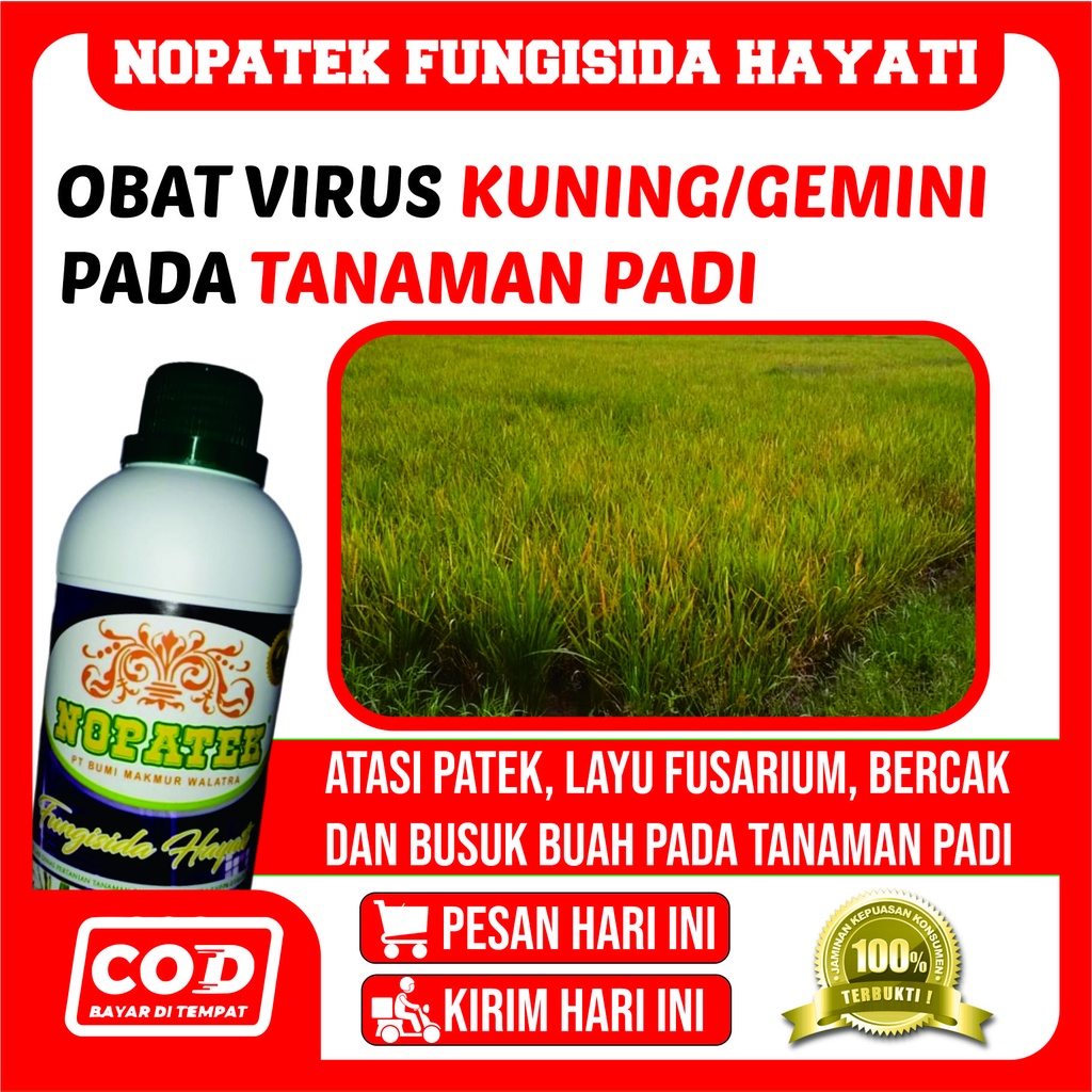 Jual NOPATEK FUNGISIDA HAYATI Obat Daun Kuning Pada Padi Obat Daun