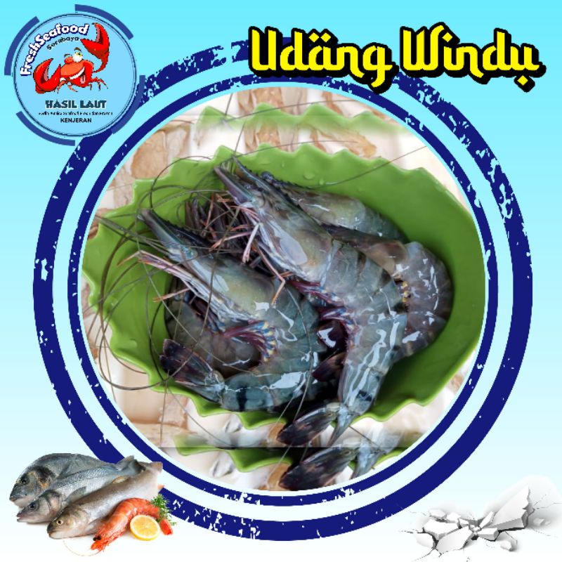 Jual Udang Windu Segar Kg Shopee Indonesia