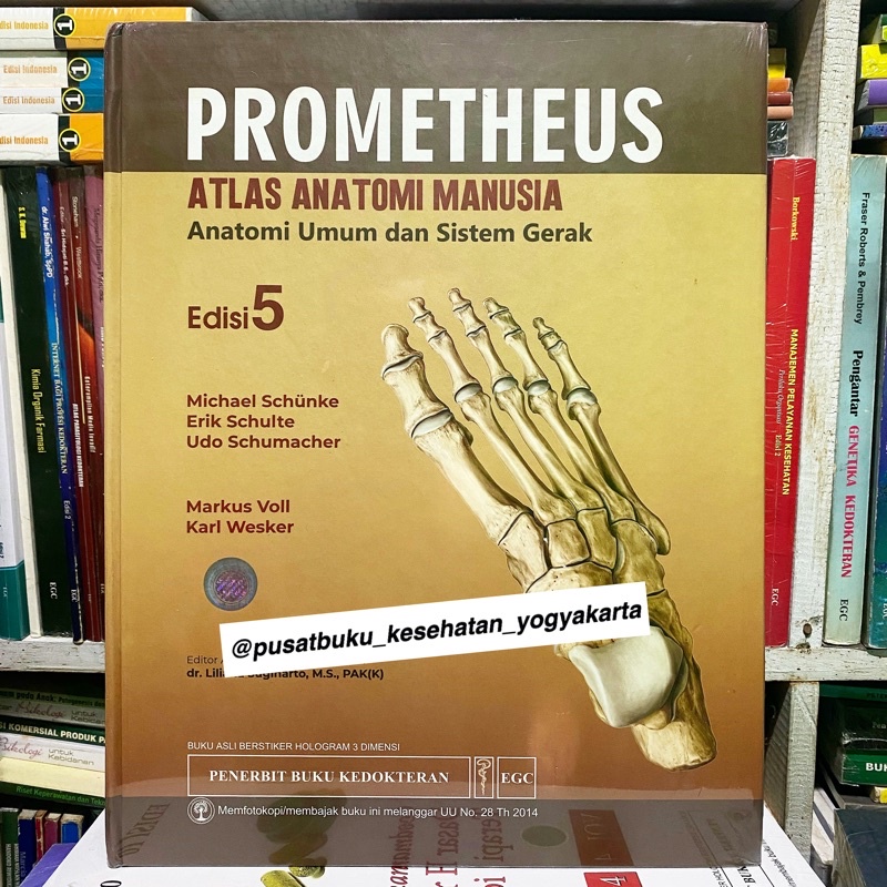 Jual ORIGINAL PROMETHEUS ATLAS ANATOMI MANUSIA EDISI 5 Shopee Indonesia