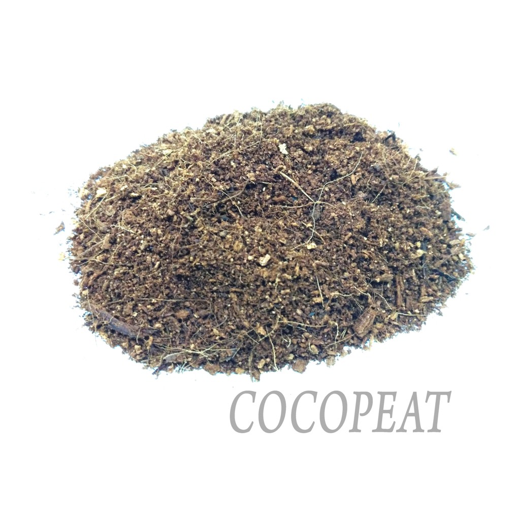 Jual COCOPEAT MEDIA ALAS KANDANG SUBSTRAT REPTILE KELOMANG KEONG