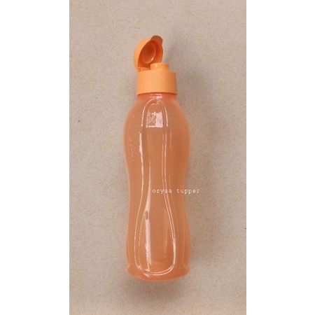 Jual Botol Minum Tutup Ulir Flip Top Tupperware Eco Bottle L