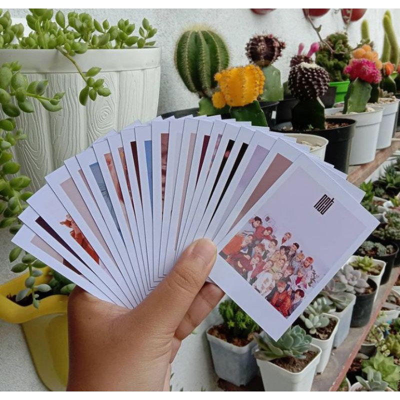 Jual Cetak Foto Polaroid Murah Shopee Indonesia