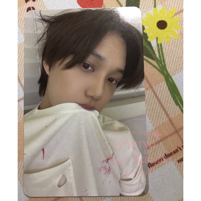 Jual Photocard Kai Peaches Kisses Ver Shopee Indonesia