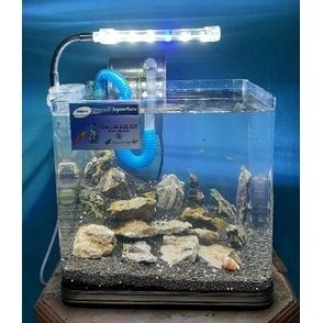 Jual Aquarium Ukuran X X Kaca Akrilik Size S Shopee Indonesia