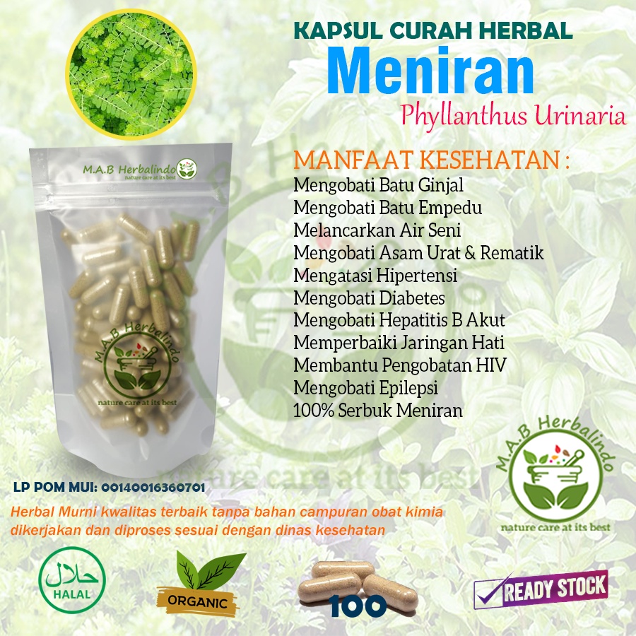 Jual MENIRAN 100 Kapsul Herbal Batu Ginjal Empedu Peluruh Kencing