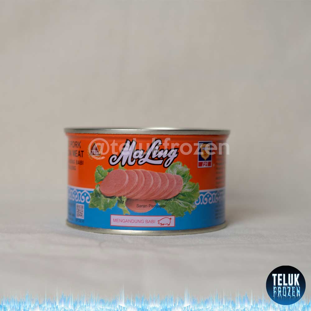 Jual Daging Maling Kaleng 397gr Tts Luncheon Pork Meat Canned 397 Gram