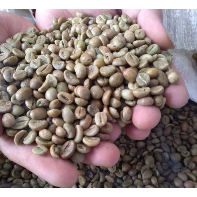 Jual Kopi Greenbean Robusta Full Petik Merah Kg Shopee Indonesia