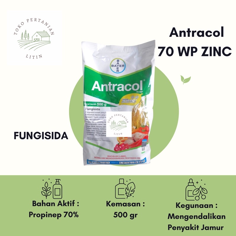 Jual Antracol Wp Zinc Gr Fungisida Pengendali Penyakit