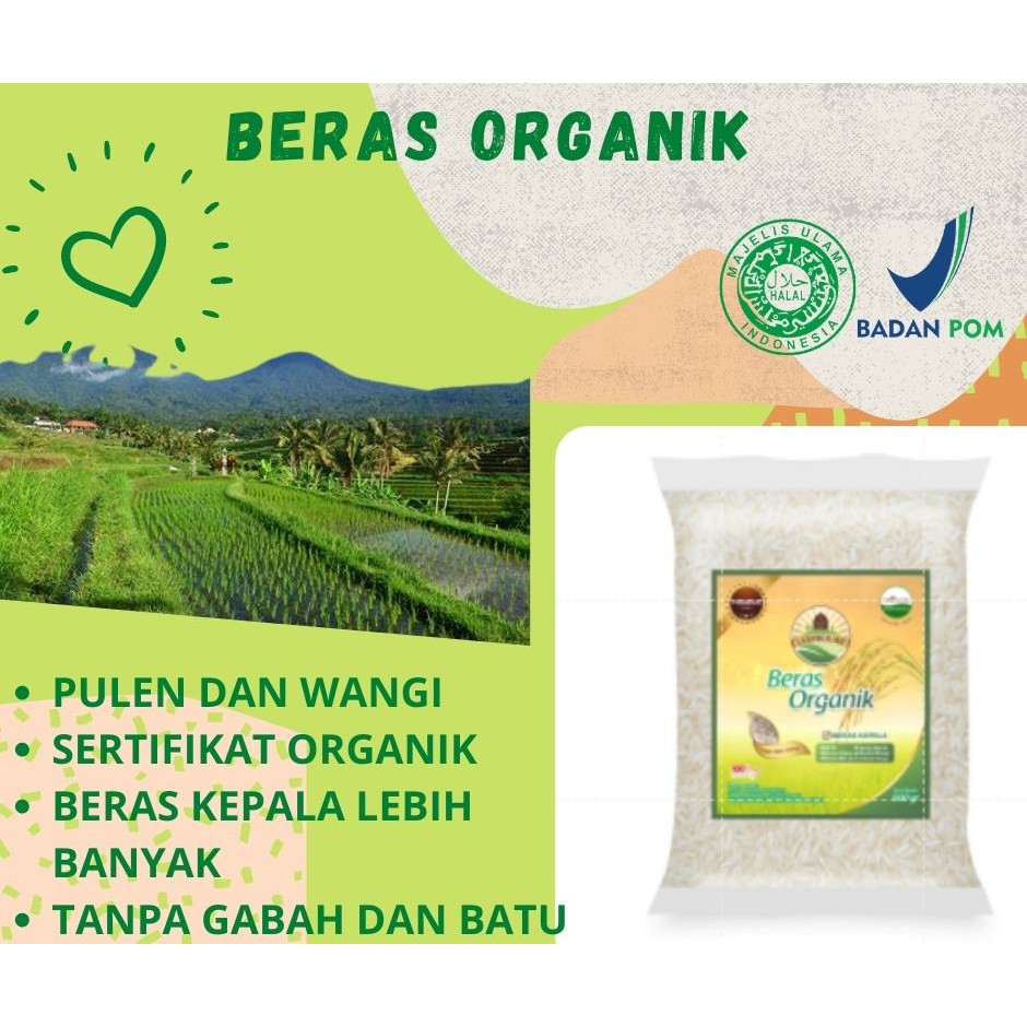 Jual Beras Organik Mpasi Makanan Organik Pulen Dan Wangi Sertifikat