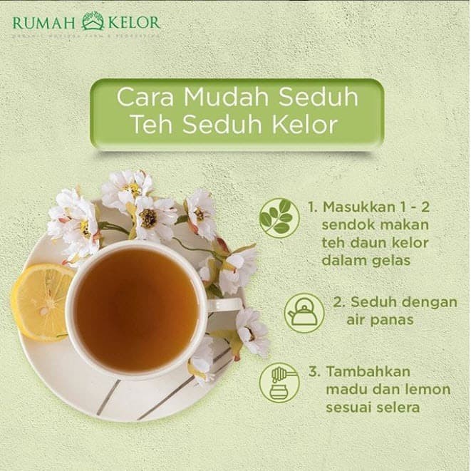 Jual Kemasan Teh Teh Celup Daun Kelor Asli Moritea Isi Bag