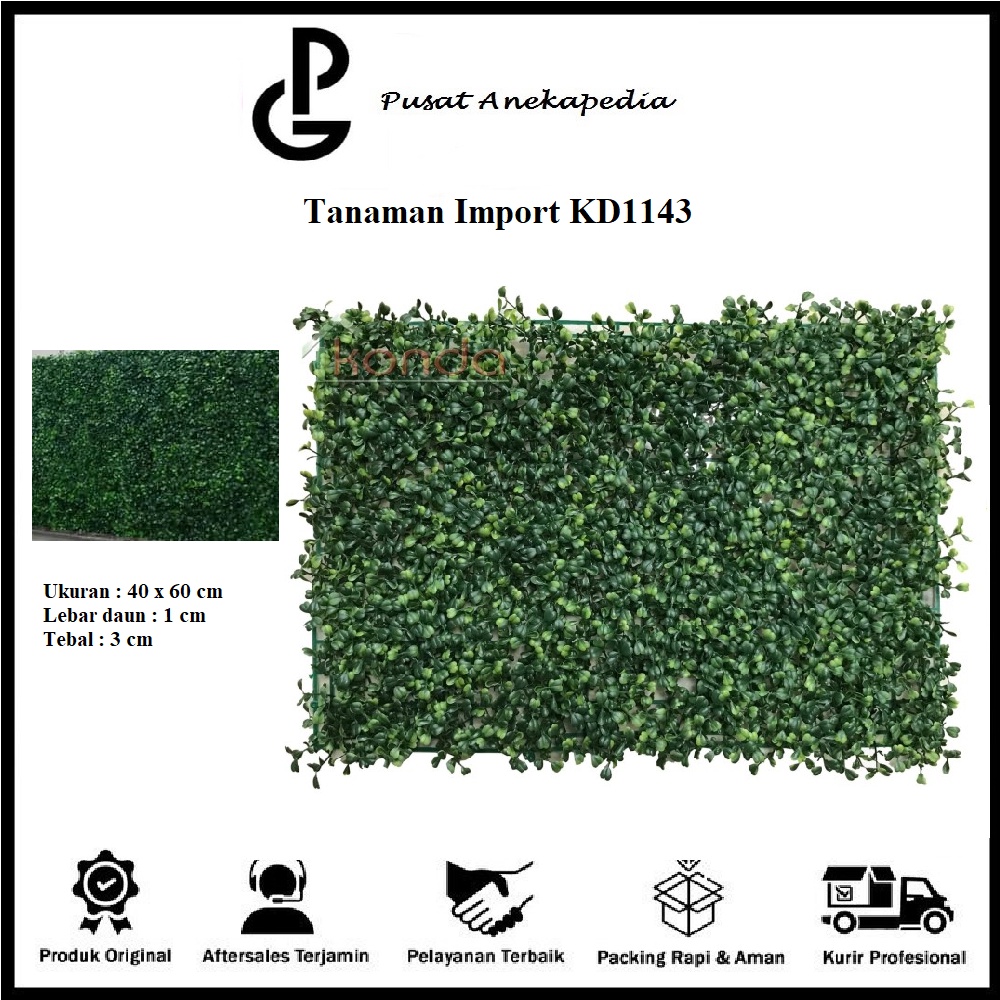 Jual Tanaman Hias Rumput Sintetis Tanaman Dinding Tanaman Import