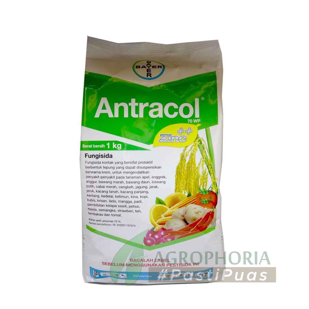 Jual Fungisida Obat Jamur Antracol Wp Kg Bayer Shopee Indonesia