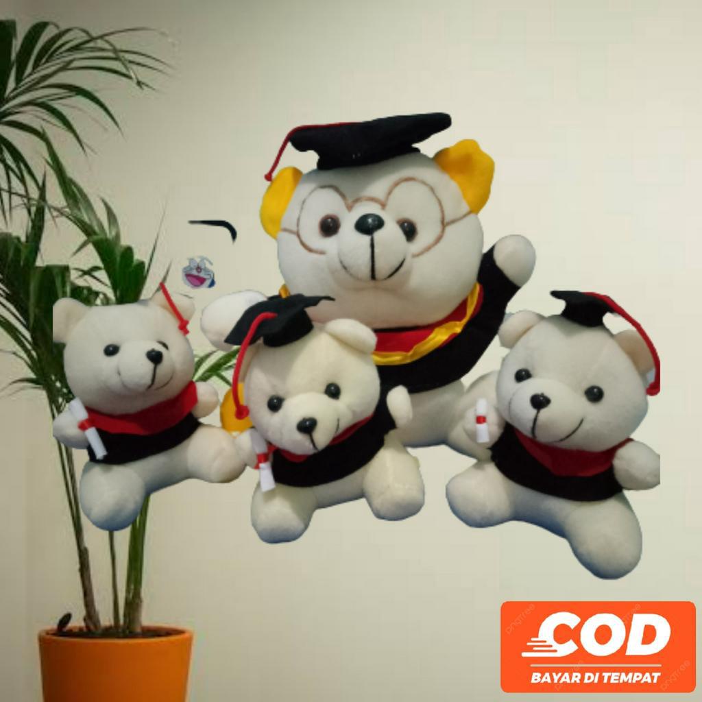 Jual Boneka Karakter Beruang Teddy Bear Wisuda Mini Besar Ukuran 15cm