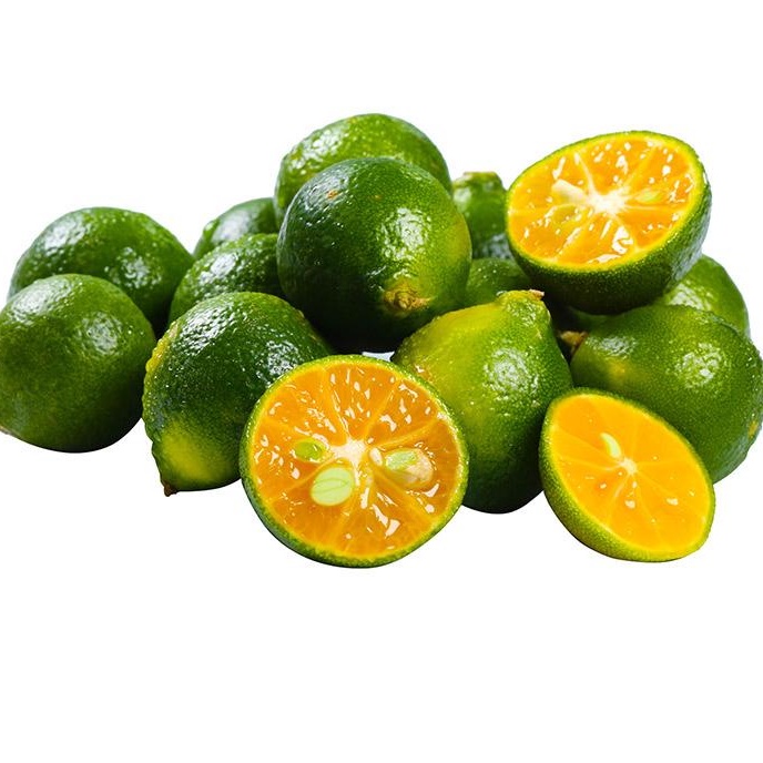 Jual Jeruk Sonkit Jeruk Nipis Jeruk Kunci Lemon Cui Kasturi