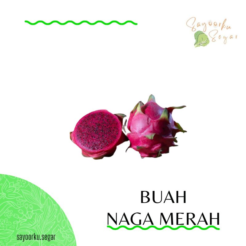 Jual Buah Naga Merah 1 Kg Shopee Indonesia