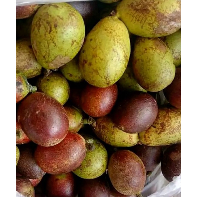 Jual Buah Matoa Manis 1kg Shopee Indonesia