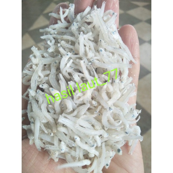 Jual Ikan Teri Medan Premium 100 Gram Shopee Indonesia