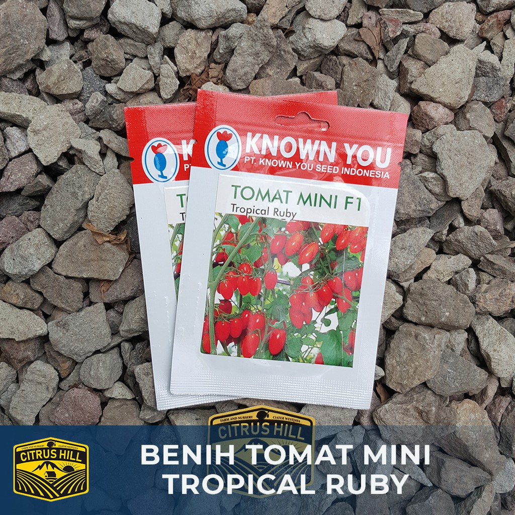 Jual Benih Tomat Cherry Mini Tropical Ruby Known You Seed Sp Shopee