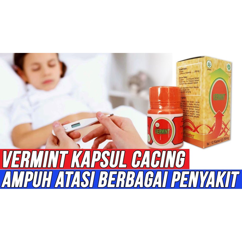 Jual Vermint Vermin Obat Penyakit Tifus Tipes Typus Kapsul